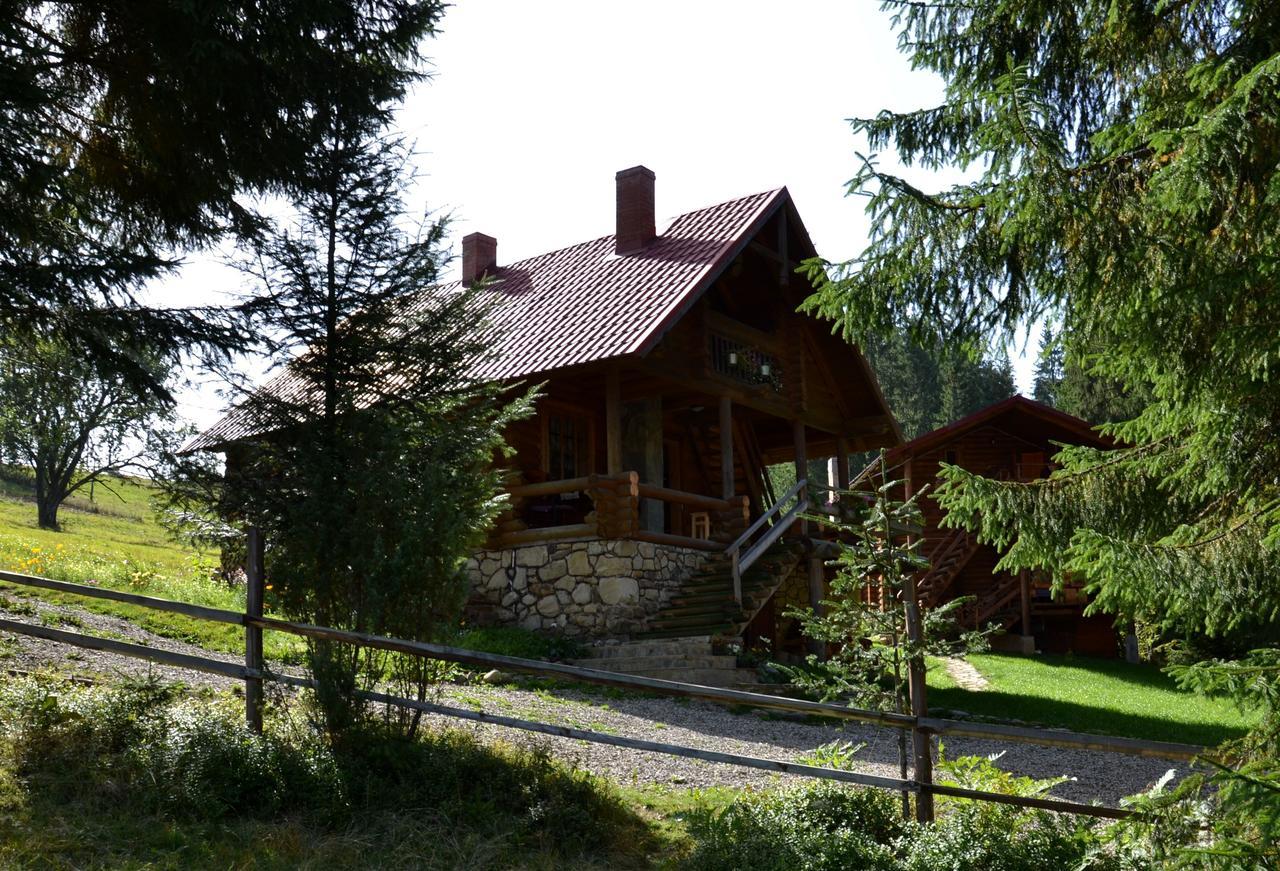 Jazz Xata Villa Yablunytsya Exterior photo